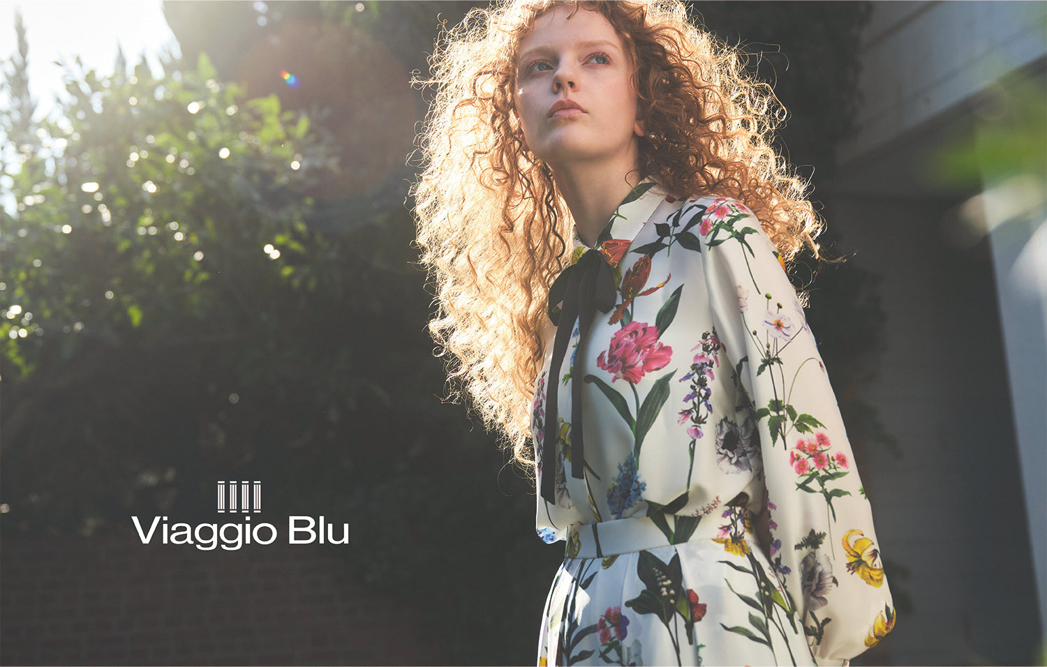 viaggio-blu – JAVA CORPORATION